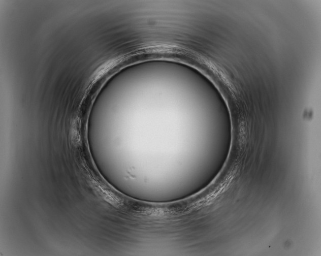 X0000100930970200807011217