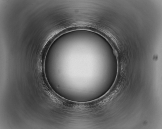 X0000100930973200807011217