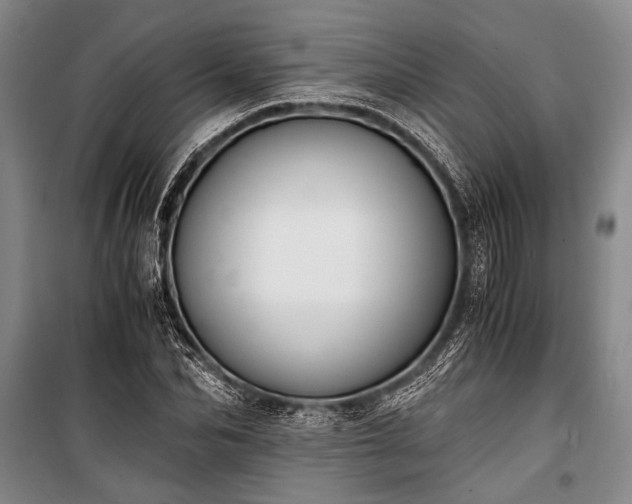 X0000100930974200807011217