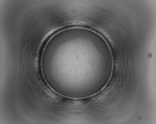 X0000100930975200807011217