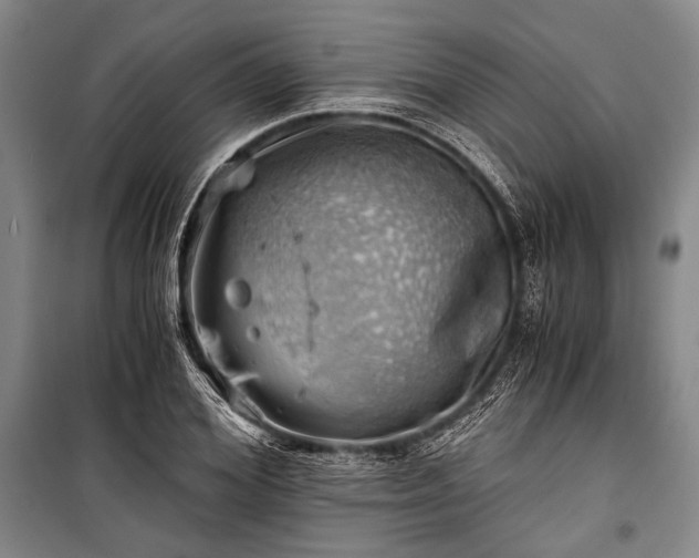 X0000100930980200807011217