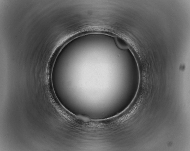 X0000100930981200807011217