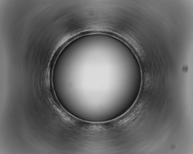 X0000100930982200807011217