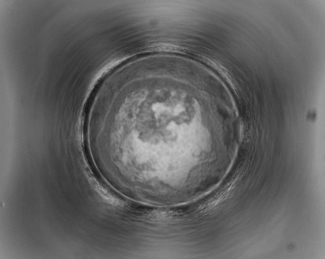 X0000100930987200807011217