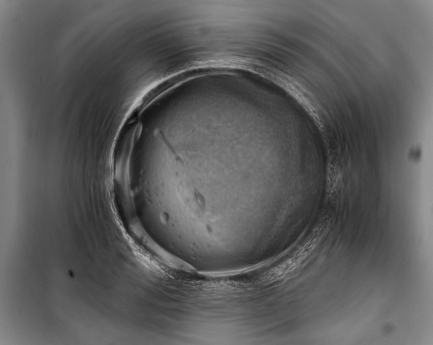 X0000100930988200807011217