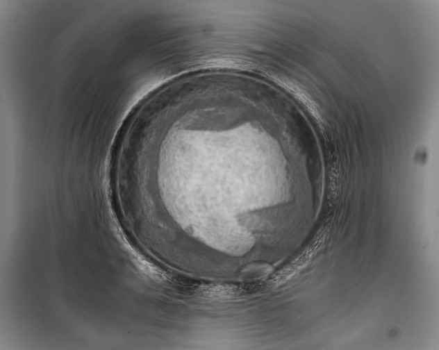 X0000100930991200807011217