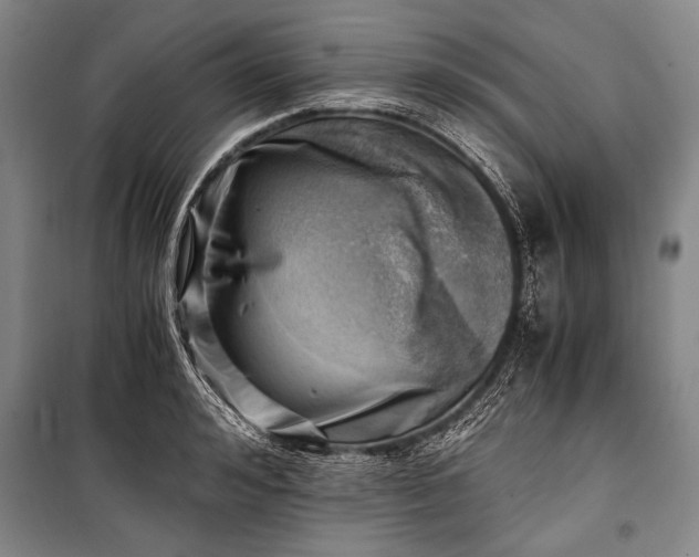 X0000100930992200807011217