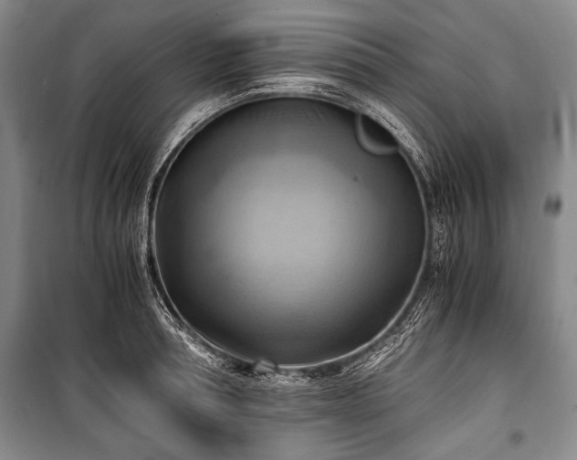 X0000100930994200807011217