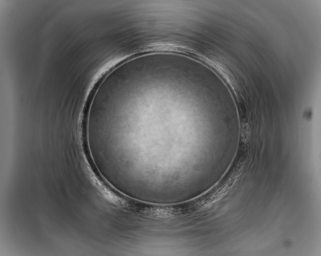 X0000100930995200807011217