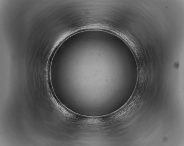 X0000100930998200807011217