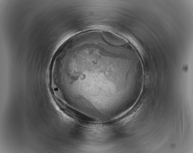 X0000100930999200807011217