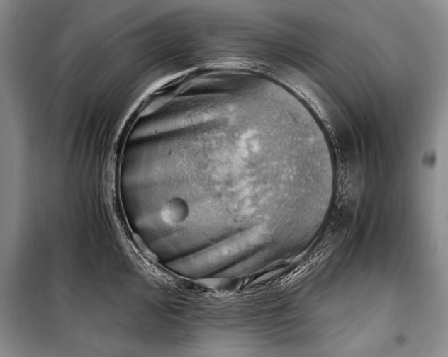 X0000100931000200807011217