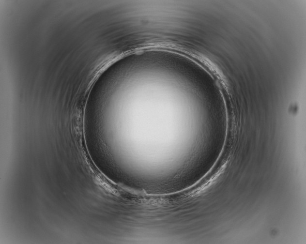 X0000100931001200807011217