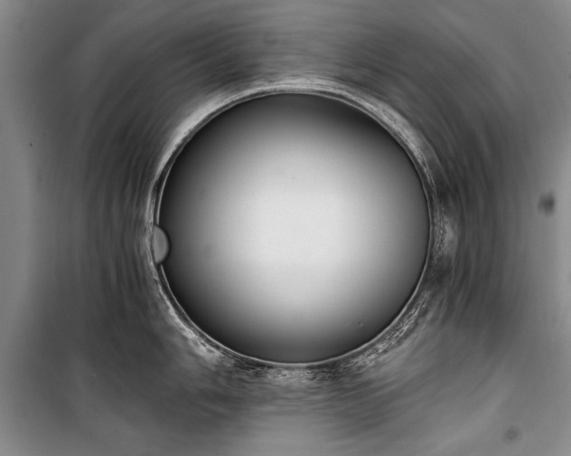 X0000100931006200807011217