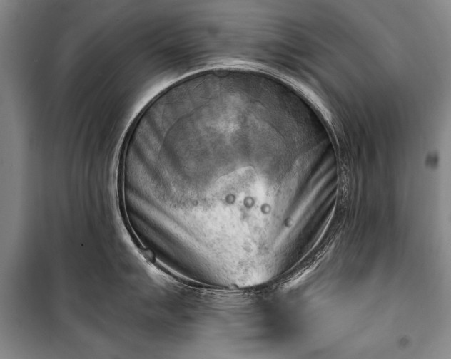 X0000100931007200807011217