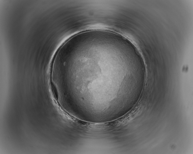 X0000100931008200807011217