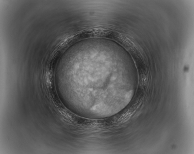 X0000100931010200807011216