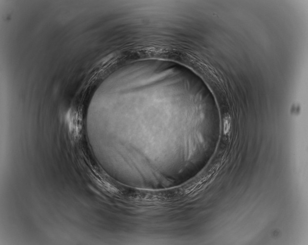 X0000100931011200807011216