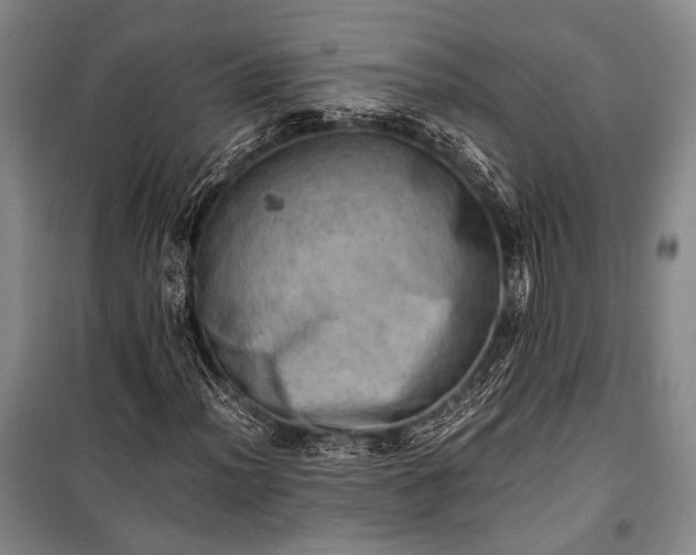 X0000100931012200807011216