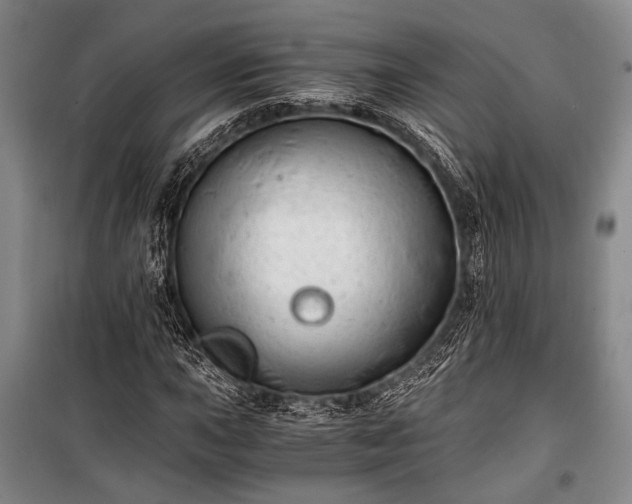 X0000100931015200807011216