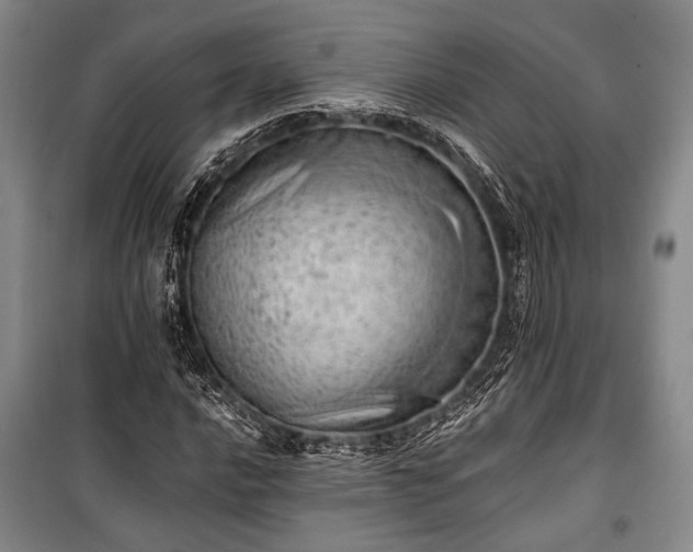 X0000100931016200807011216