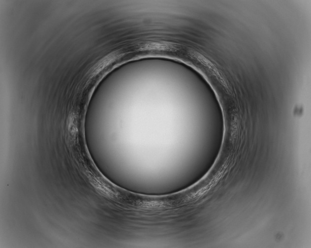 X0000100931017200807011216