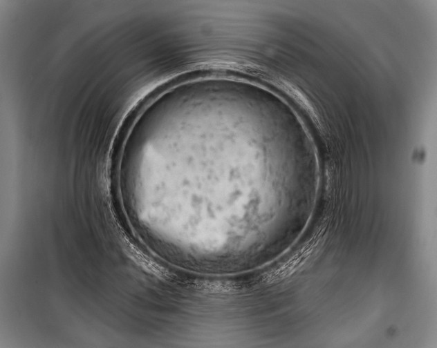 X0000100931020200807011216