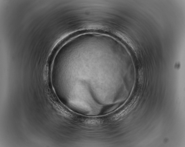 X0000100931021200807011216