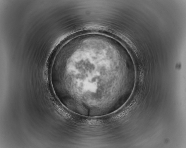 X0000100931022200807011216