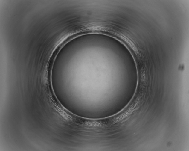 X0000100931023200807011216