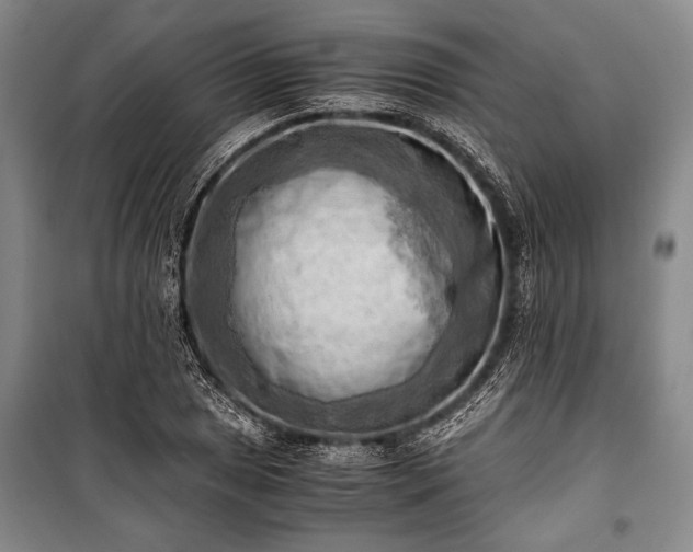 X0000100931025200807011216