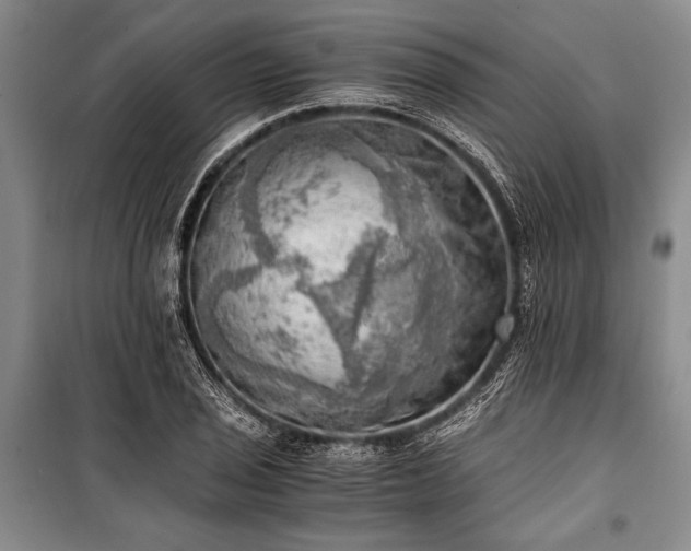 X0000100931029200807011216