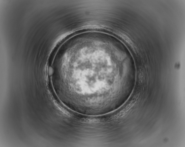 X0000100931030200807011216