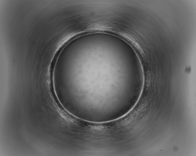 X0000100931031200807011217