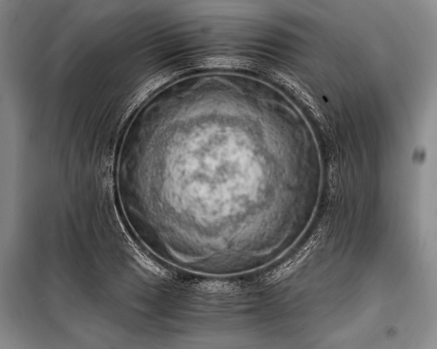 X0000100931033200807011217