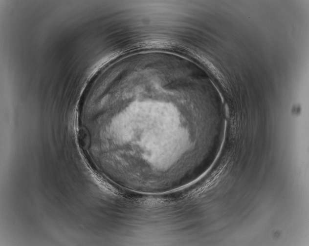 X0000100931034200807011217