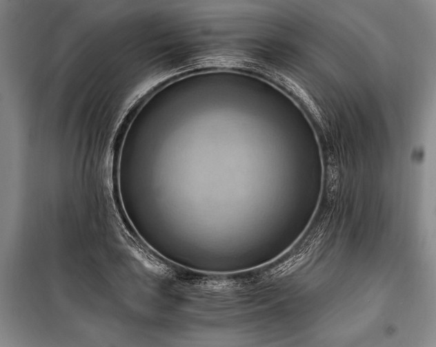 X0000100931035200807011217