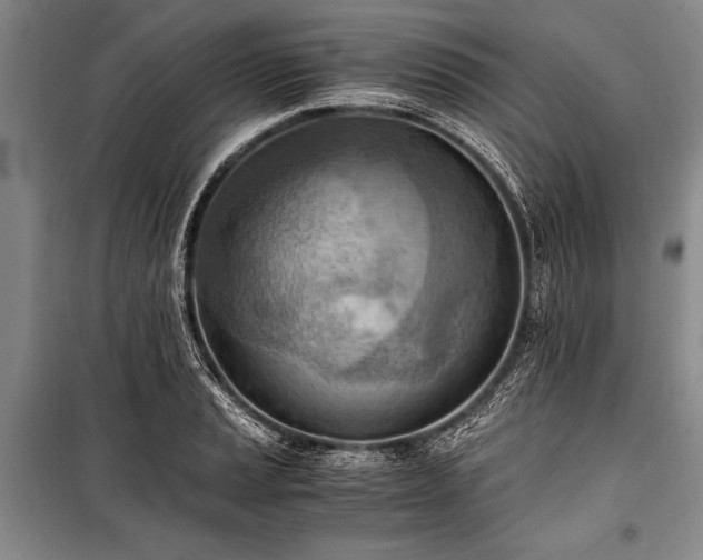 X0000100931037200807011217