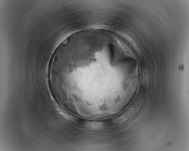 X0000100931039200807011217