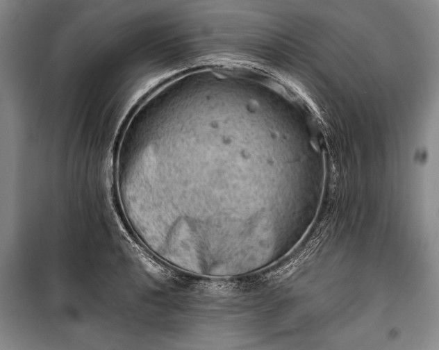 X0000100931040200807011217