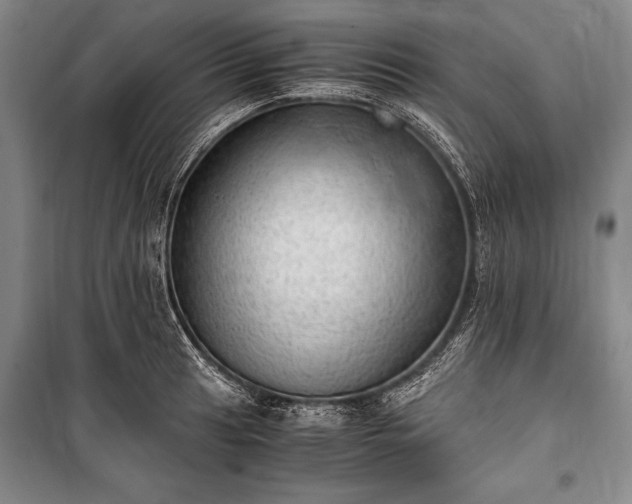 X0000100931041200807011217