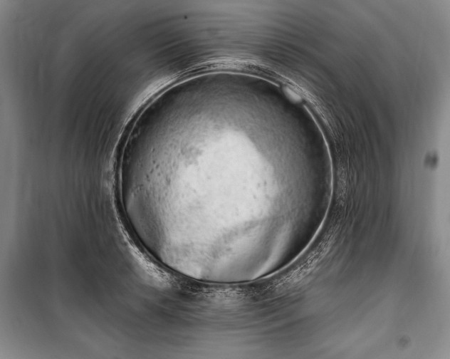 X0000100931042200807011217