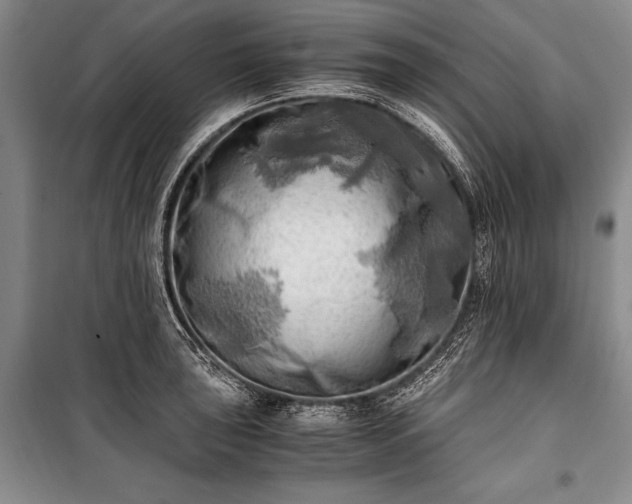 X0000100931043200807011217