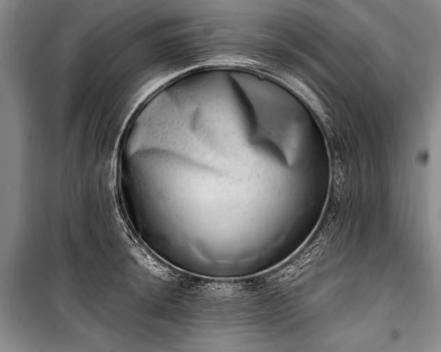 X0000100931044200807011217