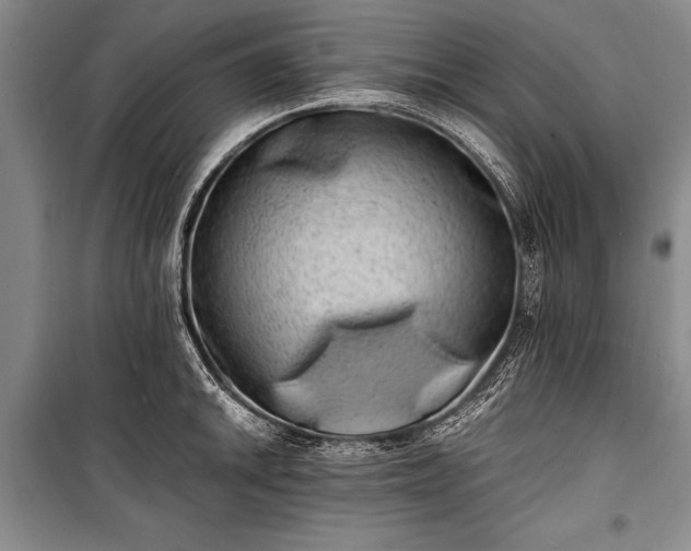 X0000100931046200807011217