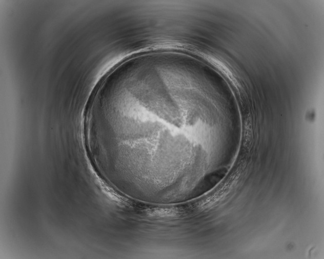 X0000100931047200807011217