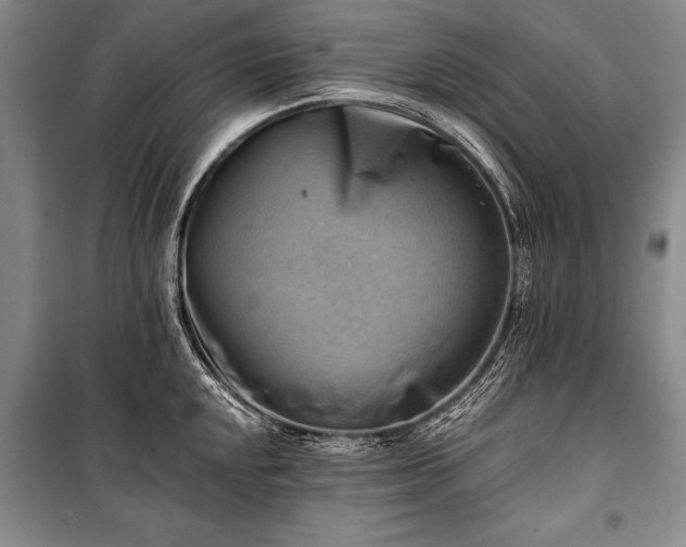 X0000100931048200807011217