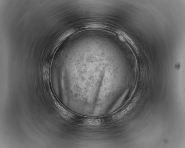 X0000100931049200807011217