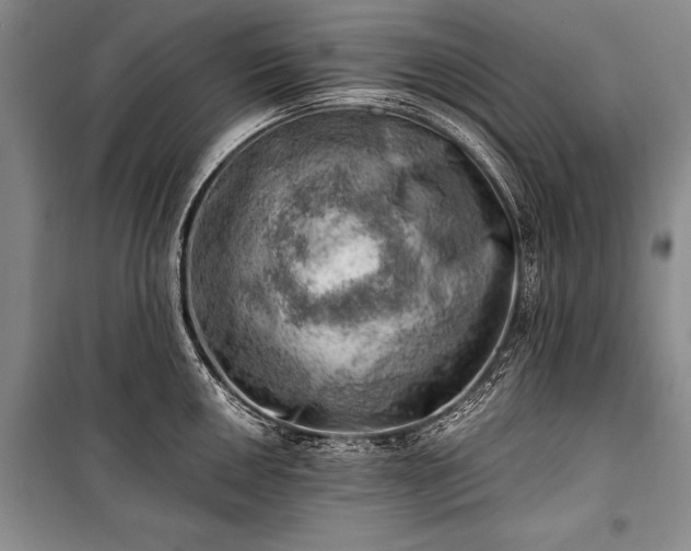 X0000100931050200807011217