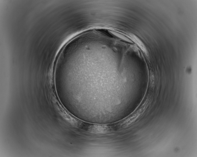 X0000100931052200807011217